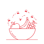 open food 1