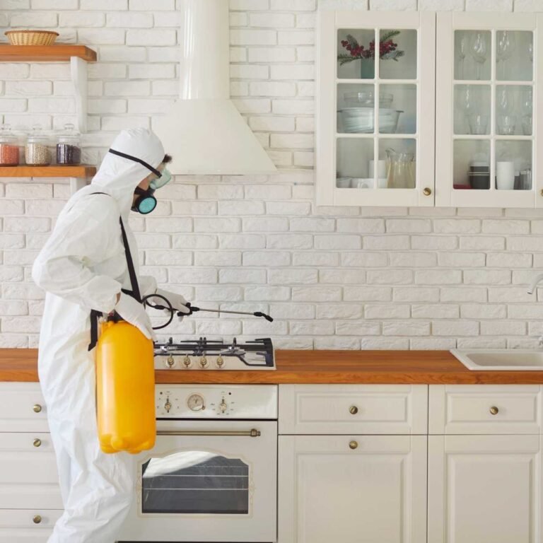 профеисонална дезинфекция